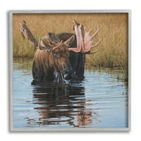 Elk u vodi scena divljih životinja životinje i insekti slika u sivom okviru umjetnički tisak zidna umjetnost