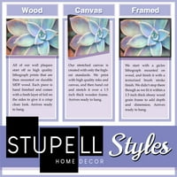 Stupell Home dekor tiskano cvijeće uokviren umjetnički tisak
