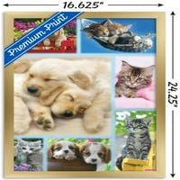 Keith Kimberlin - zidni plakat s kolažom štenaca i mačića, 14.725 22.375