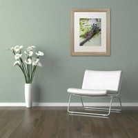 Zaštitni znak likovna umjetnost Green Heron II platno umjetnost Kurt Shaffer, bijela mat, okvir breze