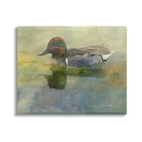 Stupell Divlja patka prirodni ribnjak divlje životinje i insekti Fotogalerija omotano platno tiskanje zidne umjetnosti