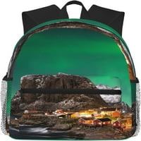 Prekrasan ruksak s printom Aurora putni ruksak lagani ruksak za prijenosno računalo svakodnevni ruksak za svaki