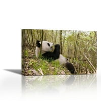 Hsiang Hsiang jede bambus, prirodni rezervat Volong, Kina-Galerija suvremene likovne umjetnosti-dekor zidova-umjetnička