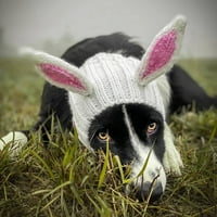 Baywell Dog pleteni šeširi kućni ljubimci tihe uši tople pseće uši pokrivaju zaštita buke mahune za uši za zimske