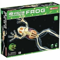 Model žabe s punim kosturom u formatu 4 inča