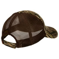 Bosemanova kapa smeđa, mahovina prekrivena hrastovom sjenom, vlati trave